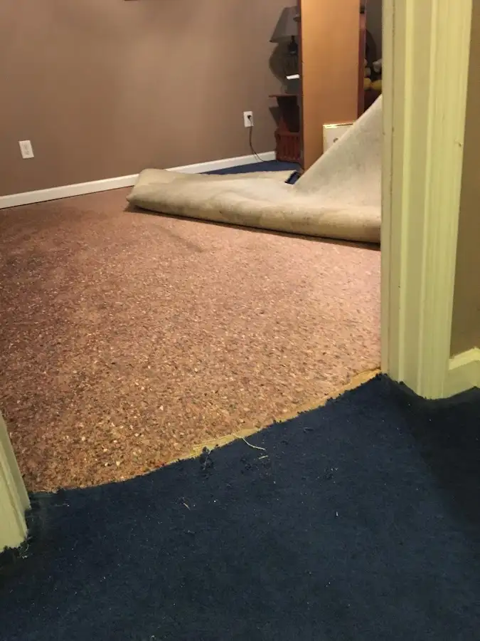 Carpet pad removal revealing water damage during Water Mitigation Services in Olympia