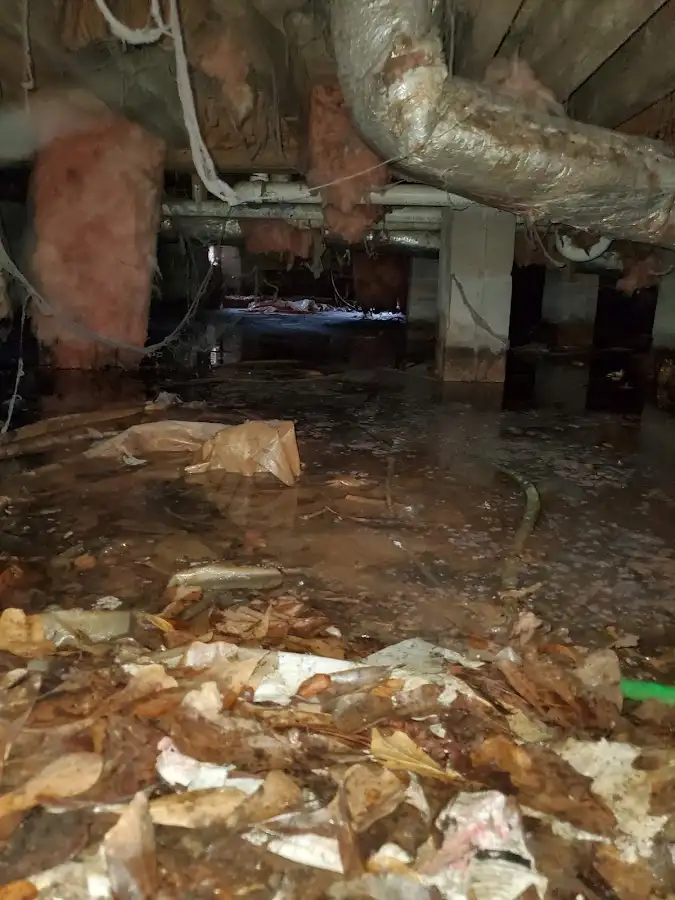 Crawl space flood assessment for Commercial Water Damage Restoration in Olympia