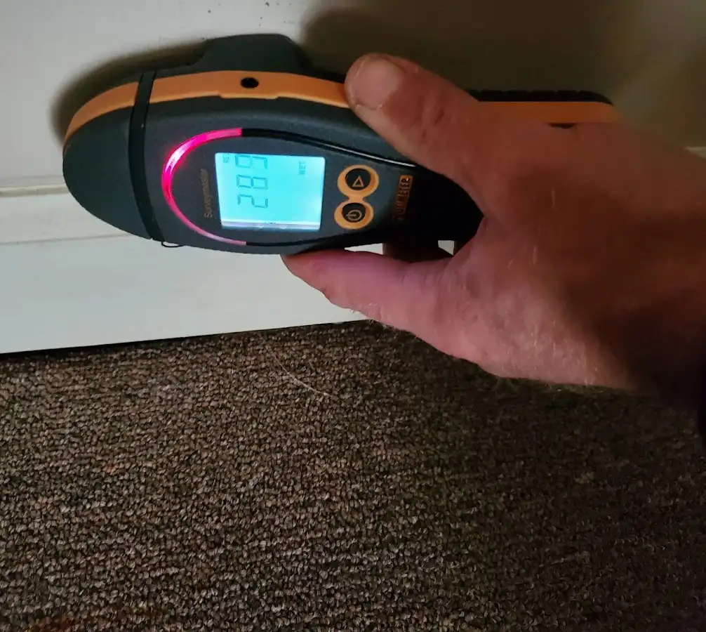 Moisture detection at baseboard during Storm Damage Restoration in Olympia
